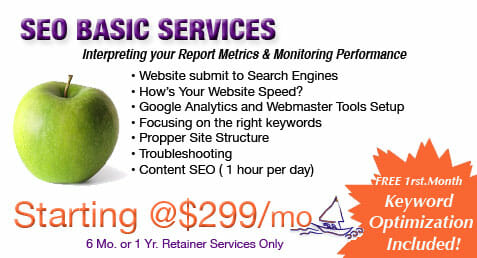 SEO Basic Services summary